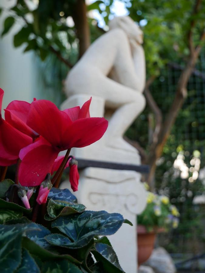 Donna Nicla B&B Matera Zewnętrze zdjęcie